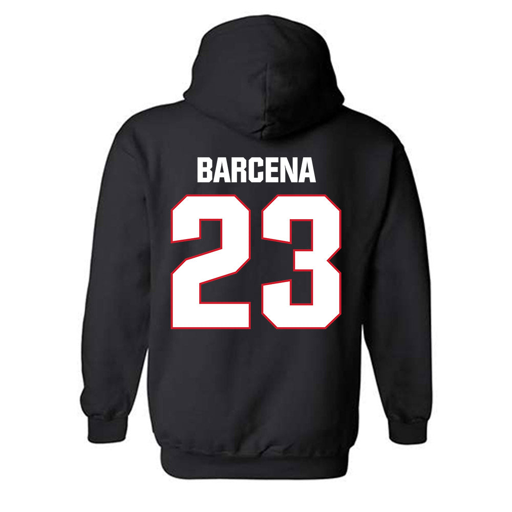 Francis Marion - NCAA Baseball : Daniel Barcena - Hooded Sweatshirt-1