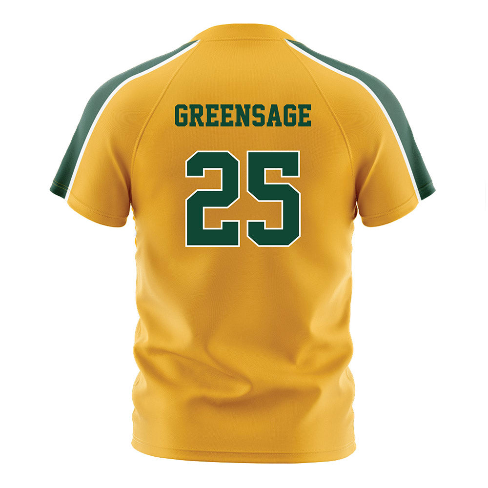 Baylor - NCAA Women's Soccer : Morgan Greensage - Gold Soccer Jersey