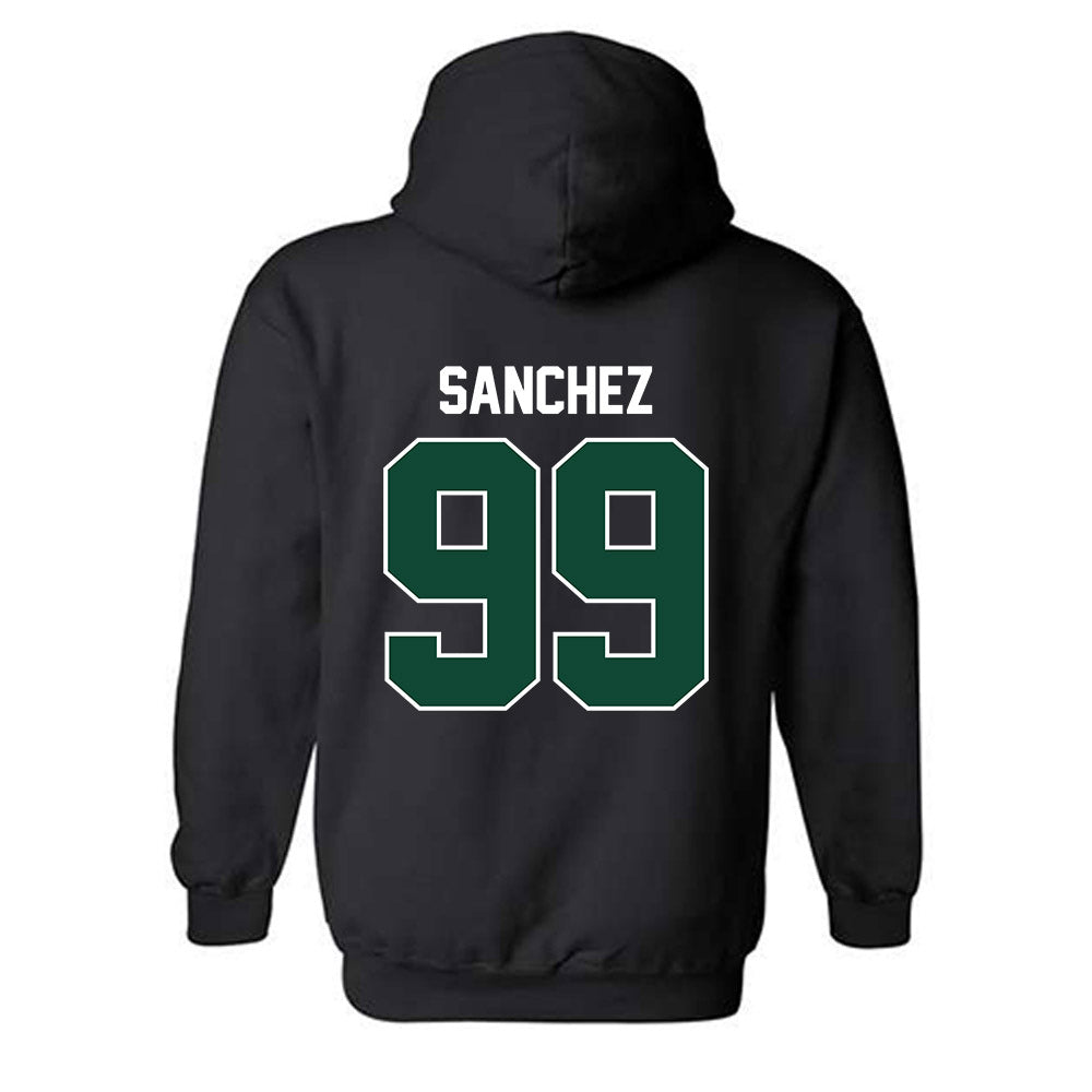 Portland State - NCAA Softball : Elise Sanchez - Classic Shersey Hooded Sweatshirt-1