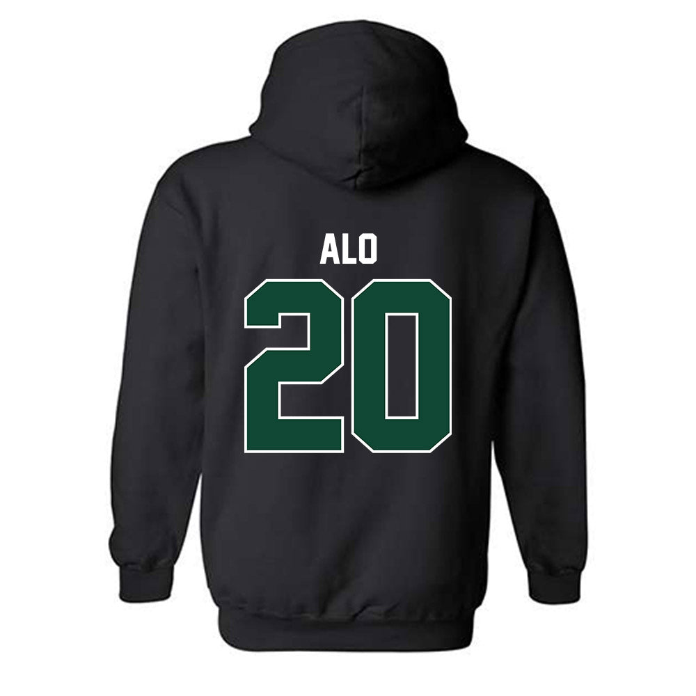 Portland State - NCAA Softball : Lorraine Alo - Classic Shersey Hooded Sweatshirt