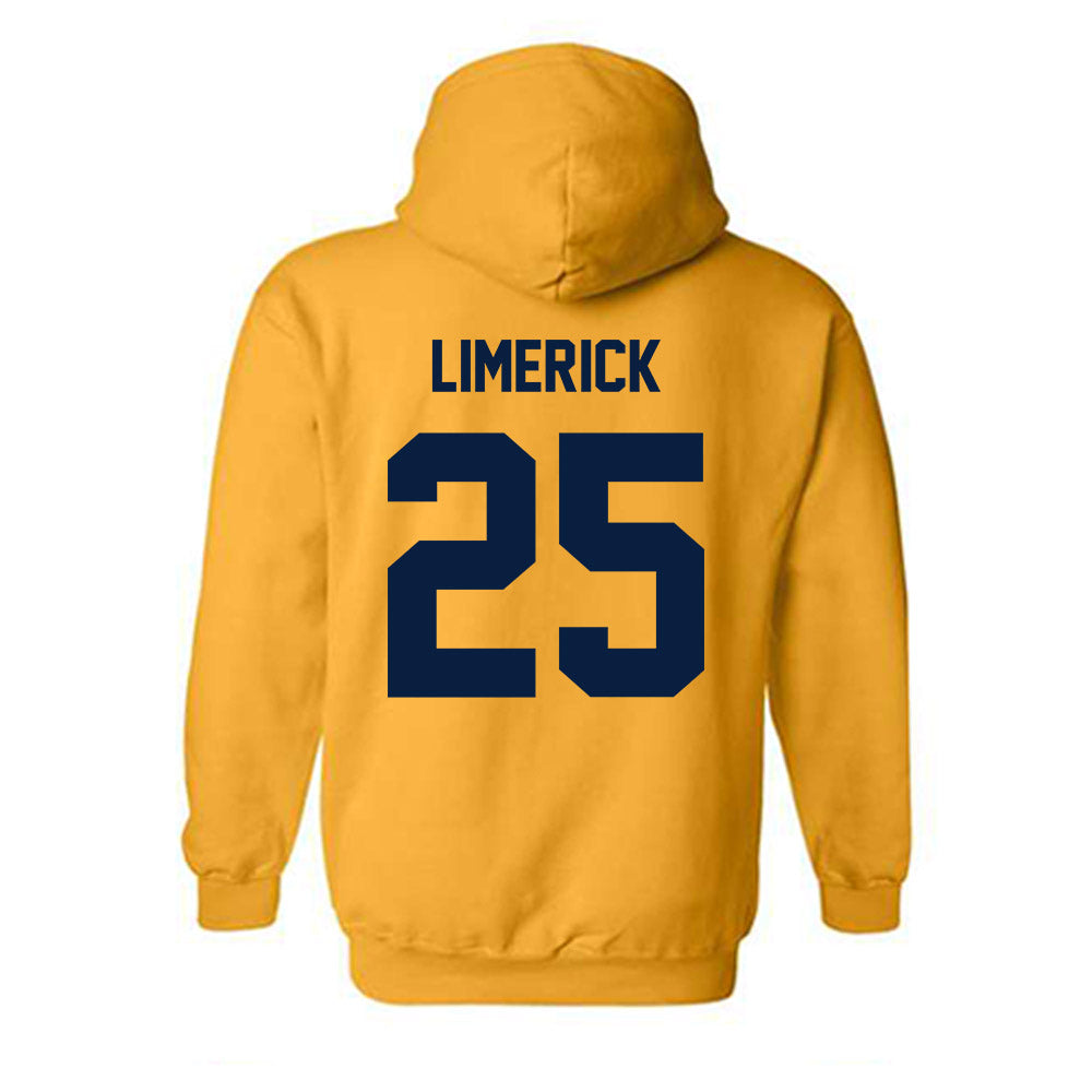 - NCAA Baseball : Ryan Limerick - Hooded Sweatshirt-1