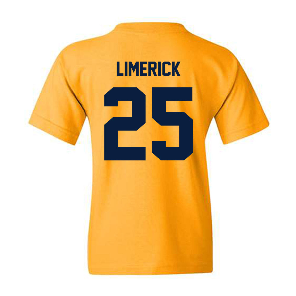 - NCAA Baseball : Ryan Limerick - Youth T-Shirt-1
