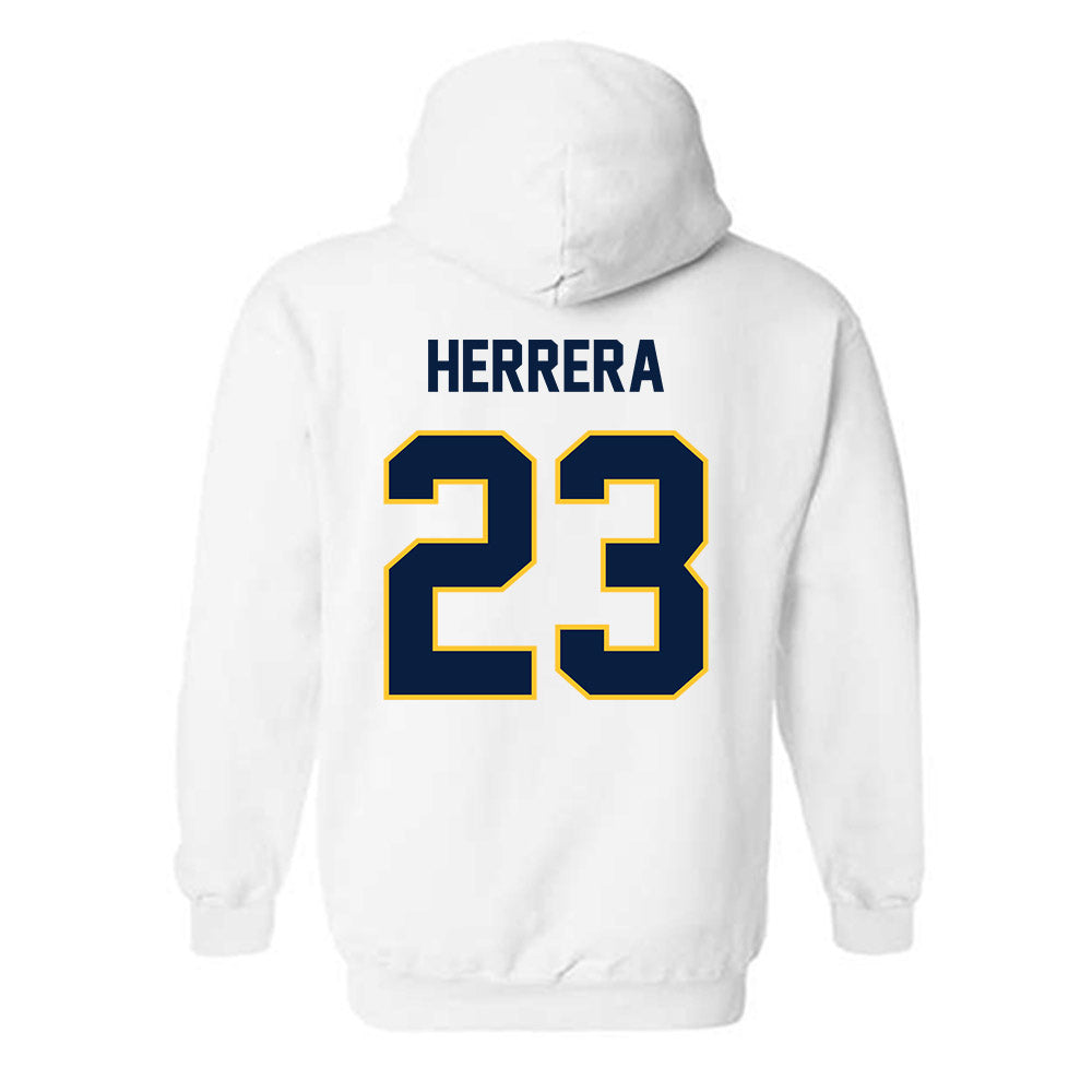 UC Berkeley - NCAA Softball : Alyssa Herrera - Sports Shersey Hooded Sweatshirt-1