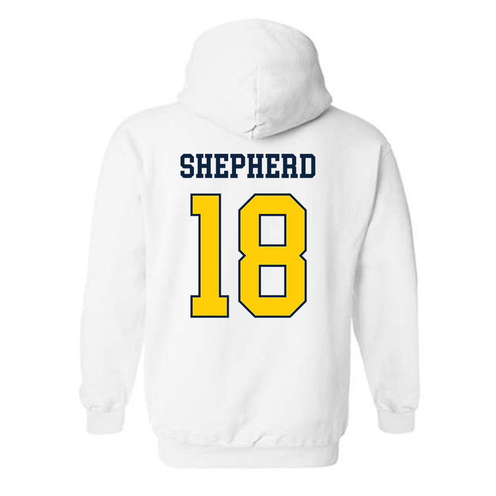 Toledo - NCAA Softball : Alexis Shepherd - Classic Shersey Hooded Sweatshirt-1