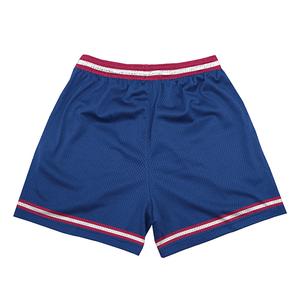 Detroit Mercy - NCAA Softball : Natalie Babcock - Shorts-1