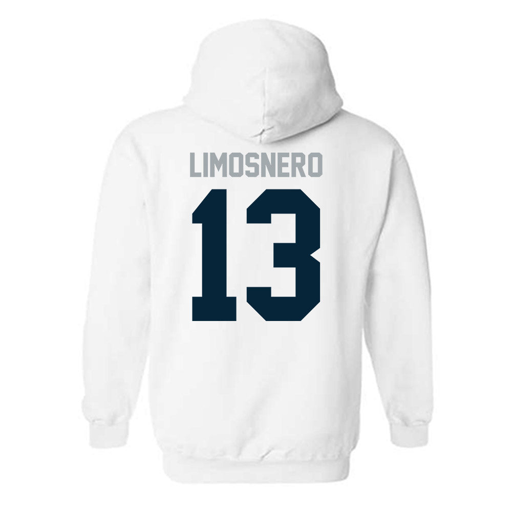 Utah State - NCAA Softball : Carly Limosnero - Classic Shersey Hooded Sweatshirt-1