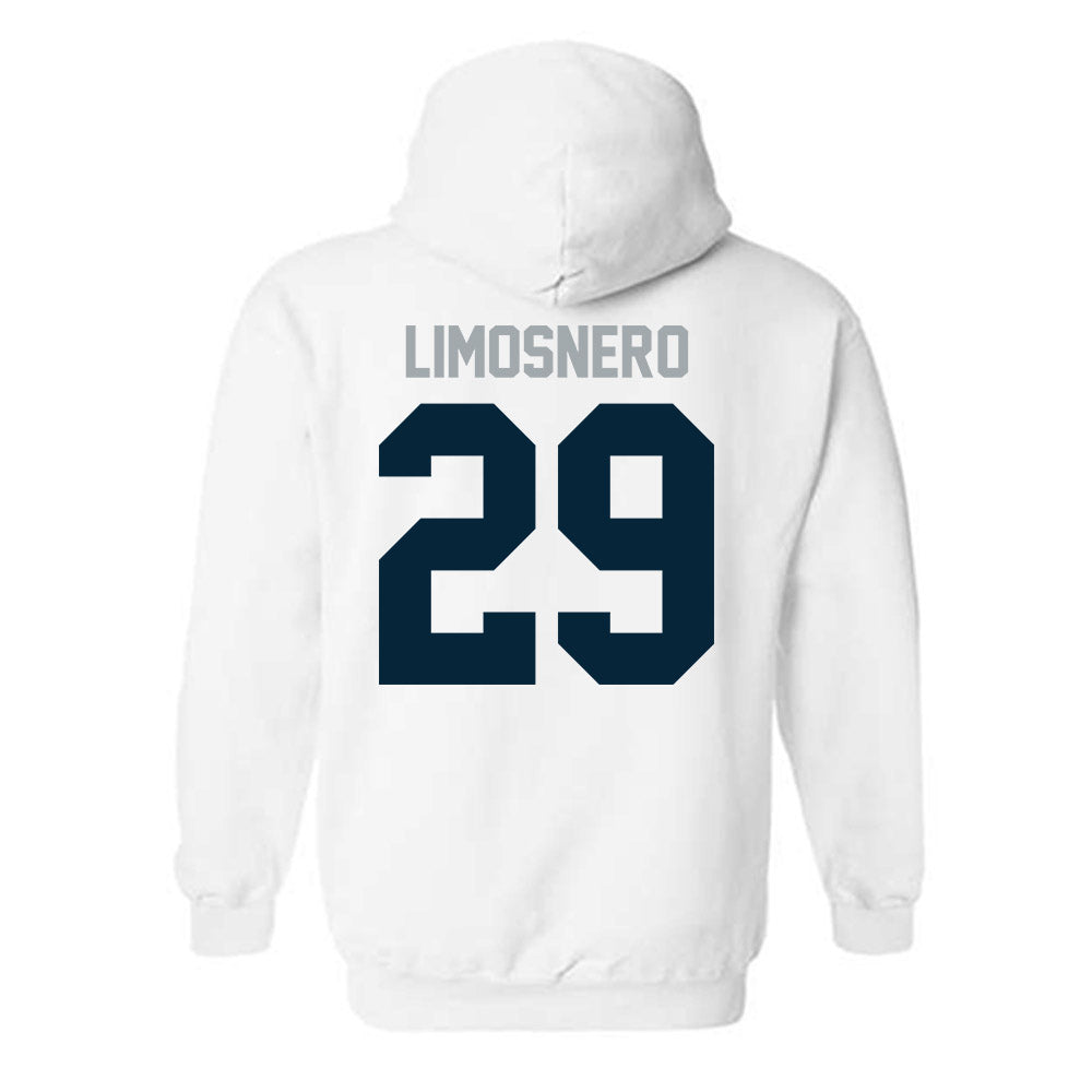 Utah State - NCAA Softball : Carly Limosnero - Classic Shersey Hooded Sweatshirt-1