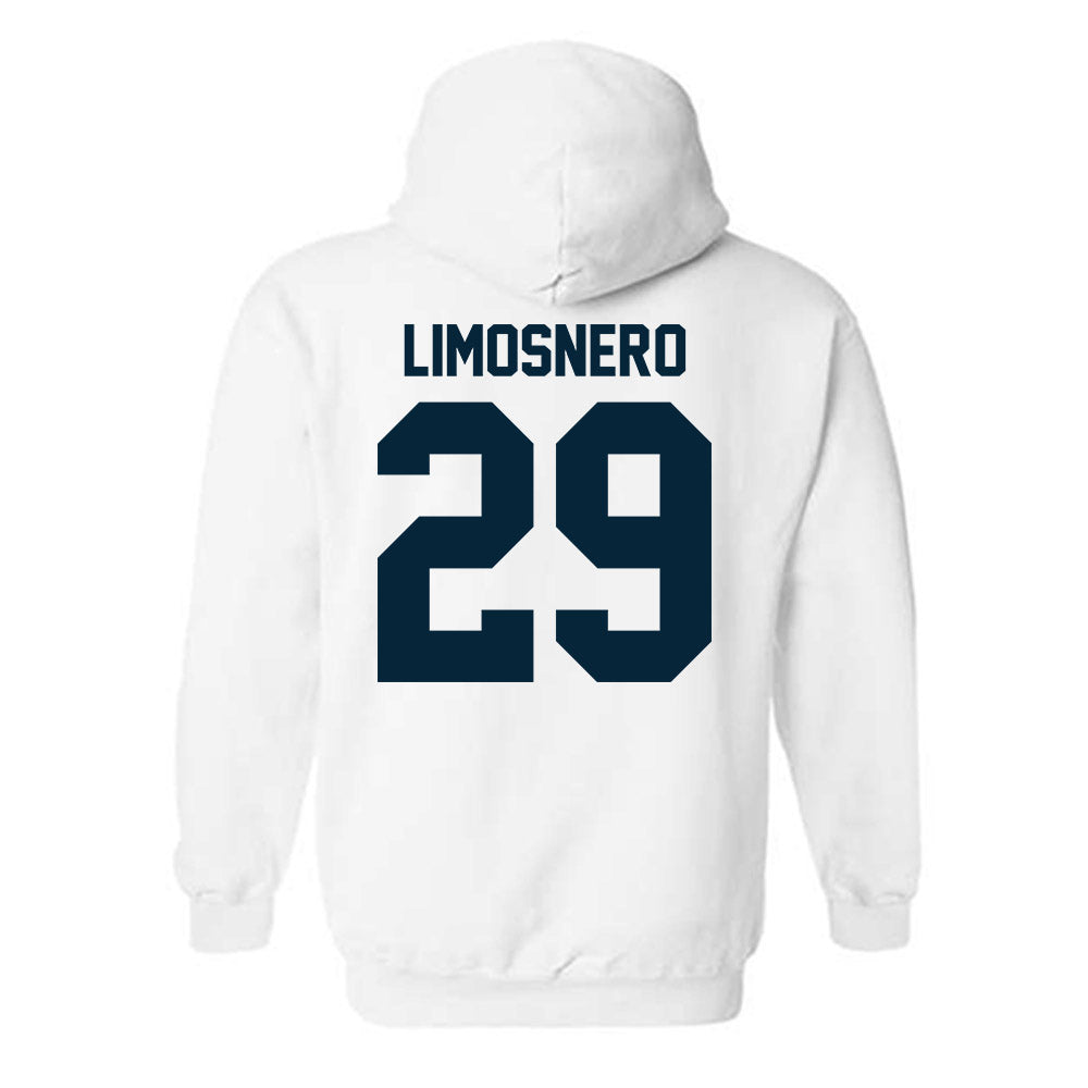 Utah State - NCAA Softball : Carly Limosnero - Hooded Sweatshirt-1