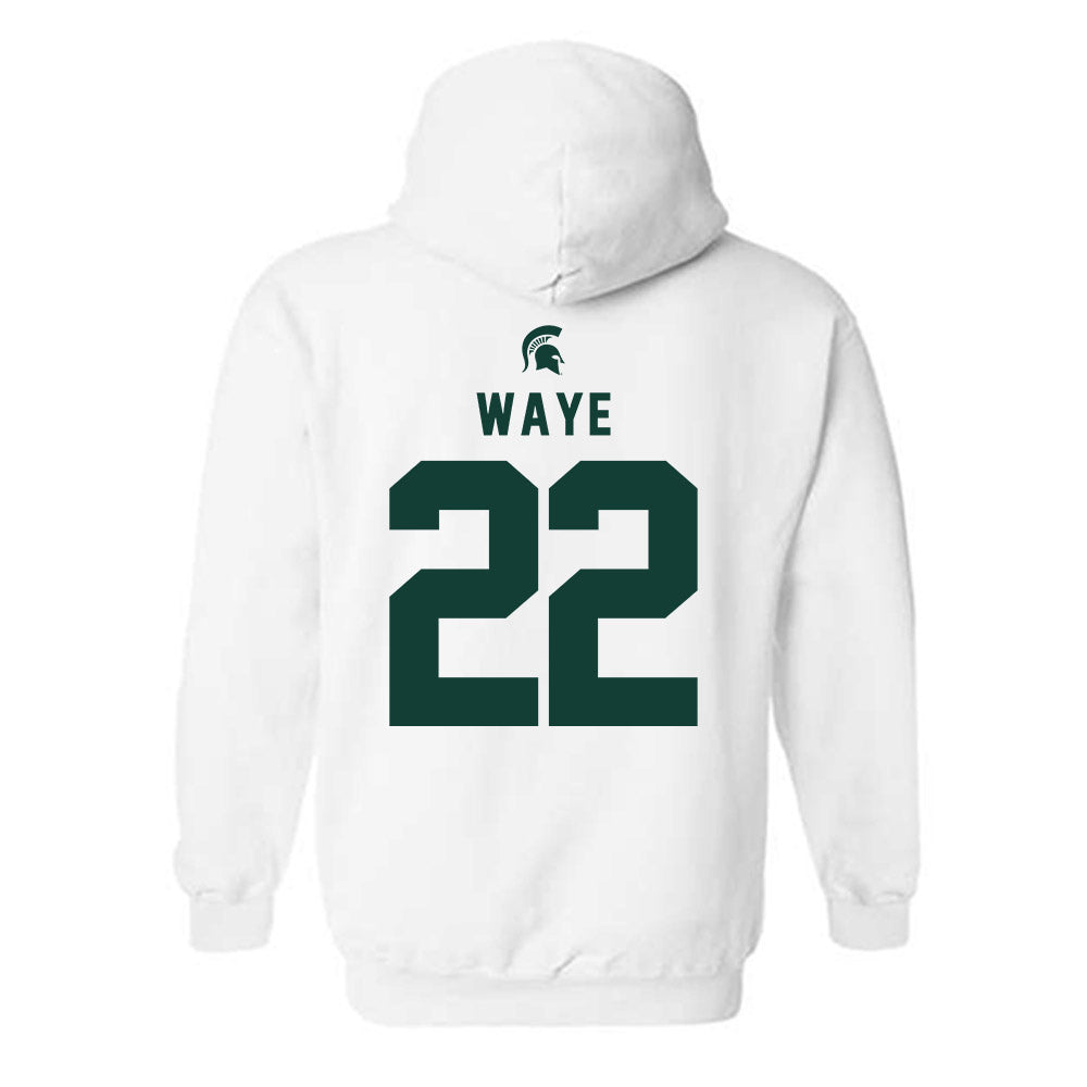Michigan State - NCAA Women's Volleyball : Carmen Waye - Classic Shersey Hooded Sweatshirt-1