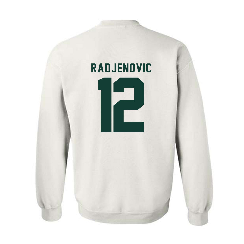 Michigan State - NCAA Men's Tennis : Vuk Radjenovic - Generic Shersey Crewneck Sweatshirt-1