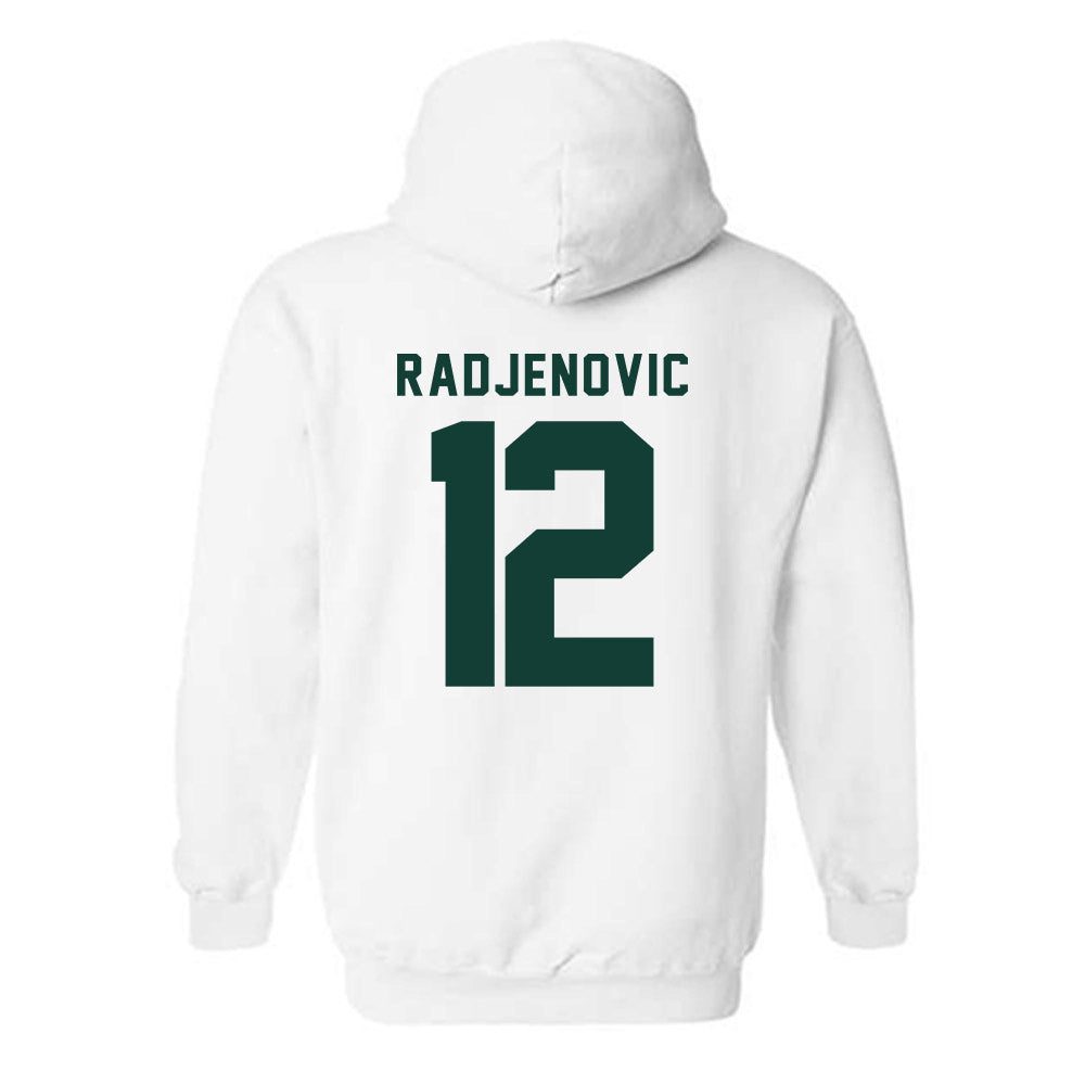 Michigan State - NCAA Men's Tennis : Vuk Radjenovic - Classic Shersey Hooded Sweatshirt-1