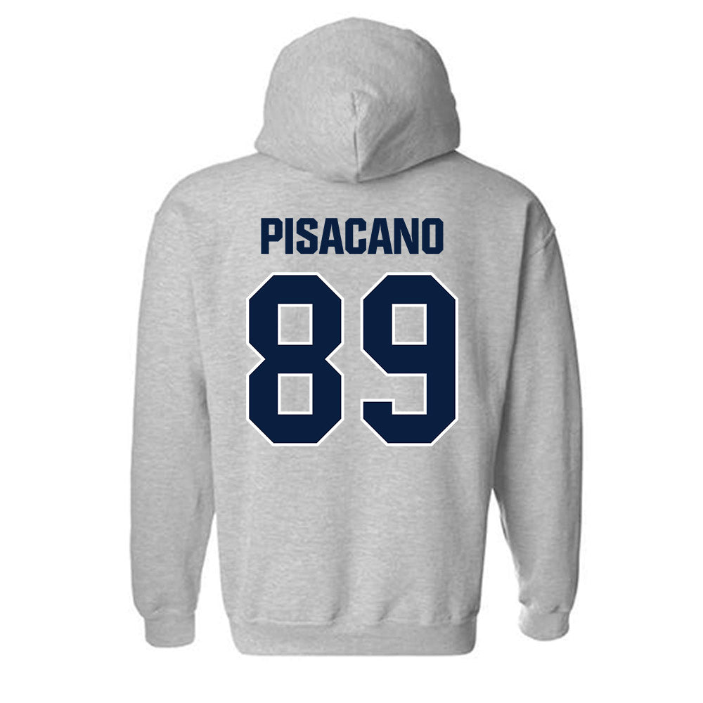Longwood - NCAA Softball : Sophia Pisacano - Classic Shersey Hooded Sweatshirt-1