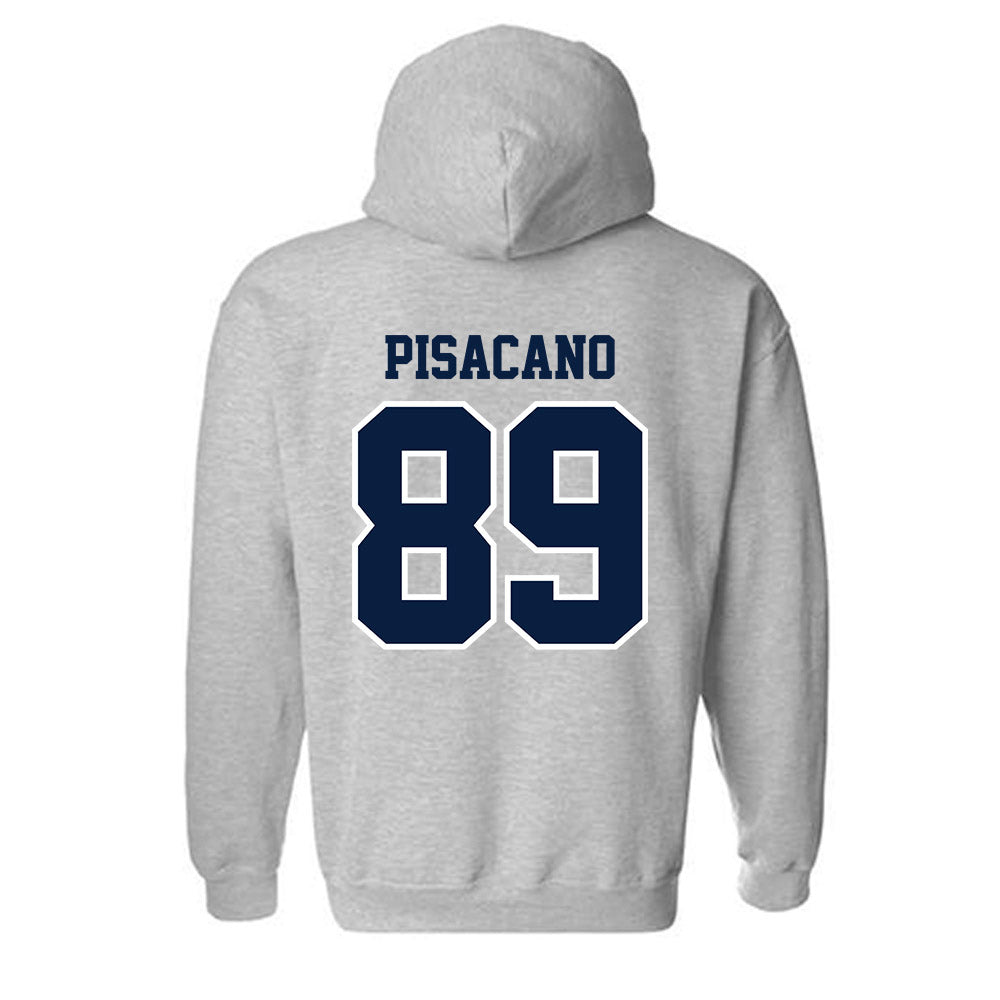 Longwood - NCAA Softball : Sophia Pisacano - Classic Shersey Hooded Sweatshirt-1