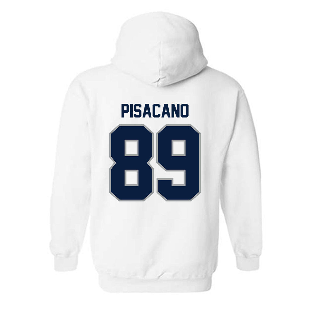 Longwood - NCAA Softball : Sophia Pisacano - Classic Shersey Hooded Sweatshirt-1