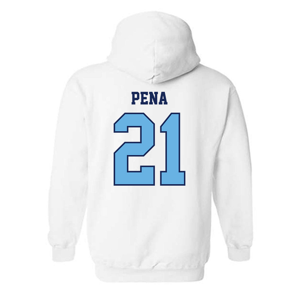 San Diego - NCAA Men's Soccer : Kevin Pena - Hooded Sweatshirt-1