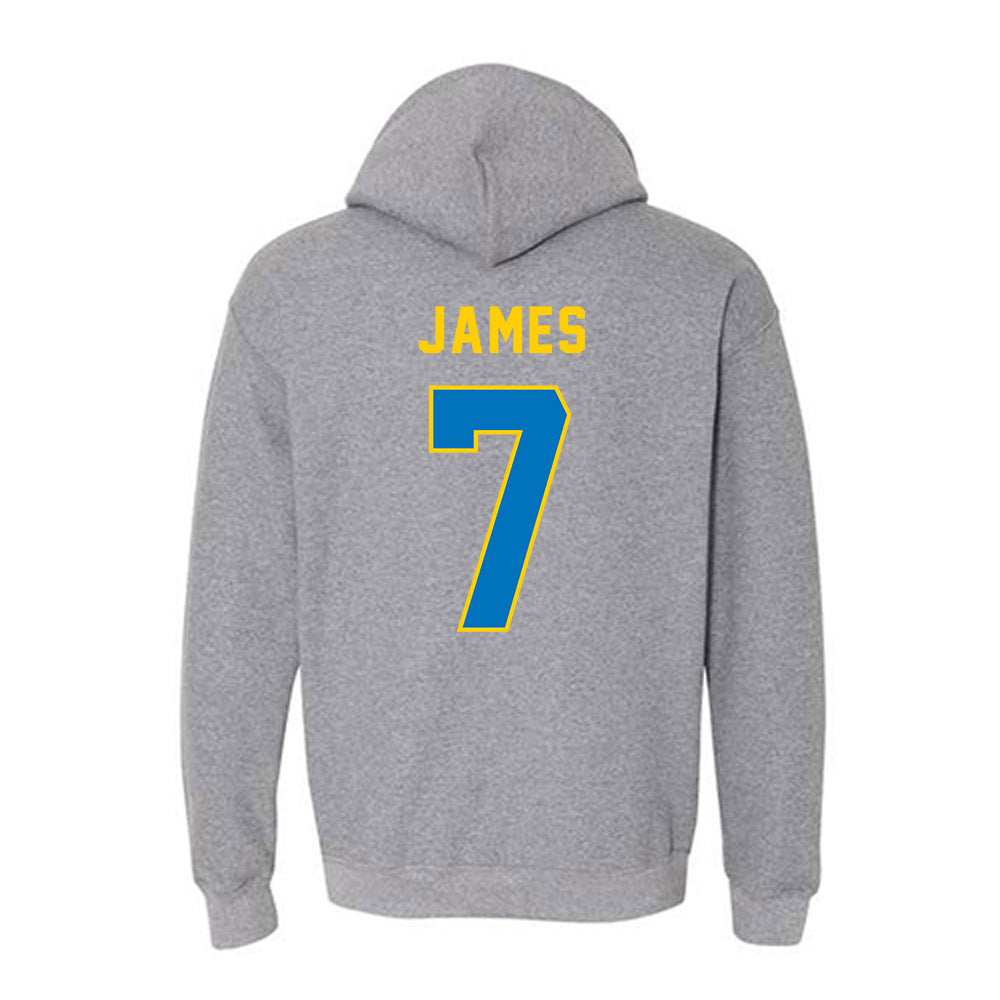 Rollins - NCAA Men's Basketball : Cheo james - Classic Shersey Hooded Sweatshirt-1