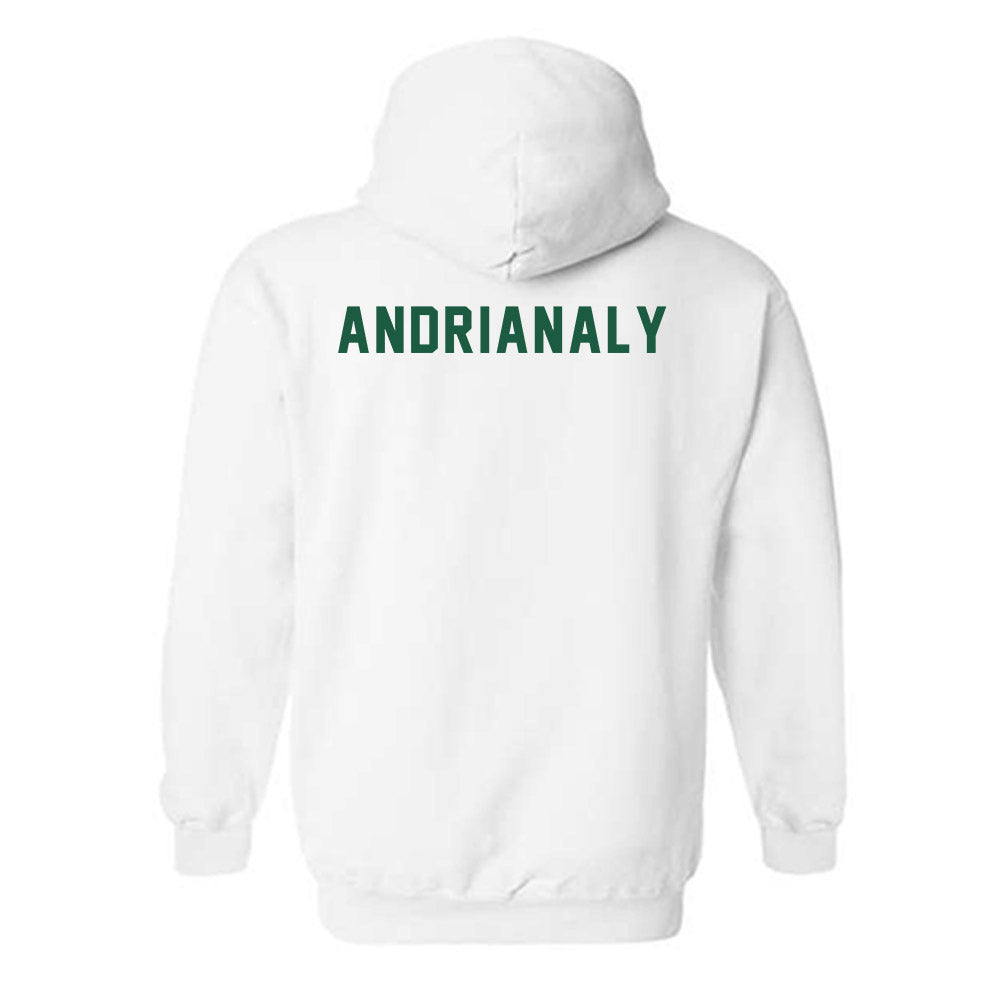 Saint Leo - NCAA Men's Tennis : Dylan Andrianaly - Hooded Sweatshirt-1