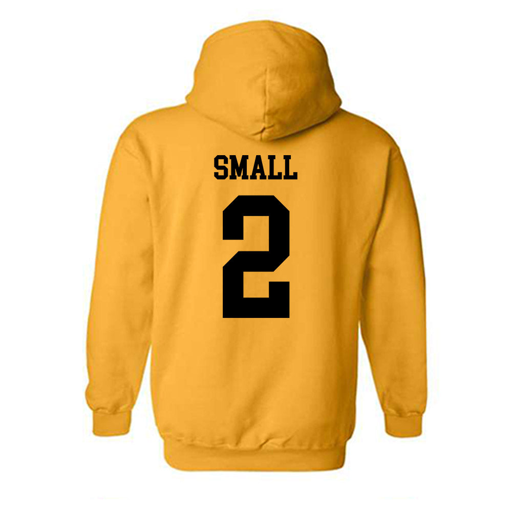UAPB - NCAA Baseball : Dane Small - Classic Shersey Hooded Sweatshirt-1