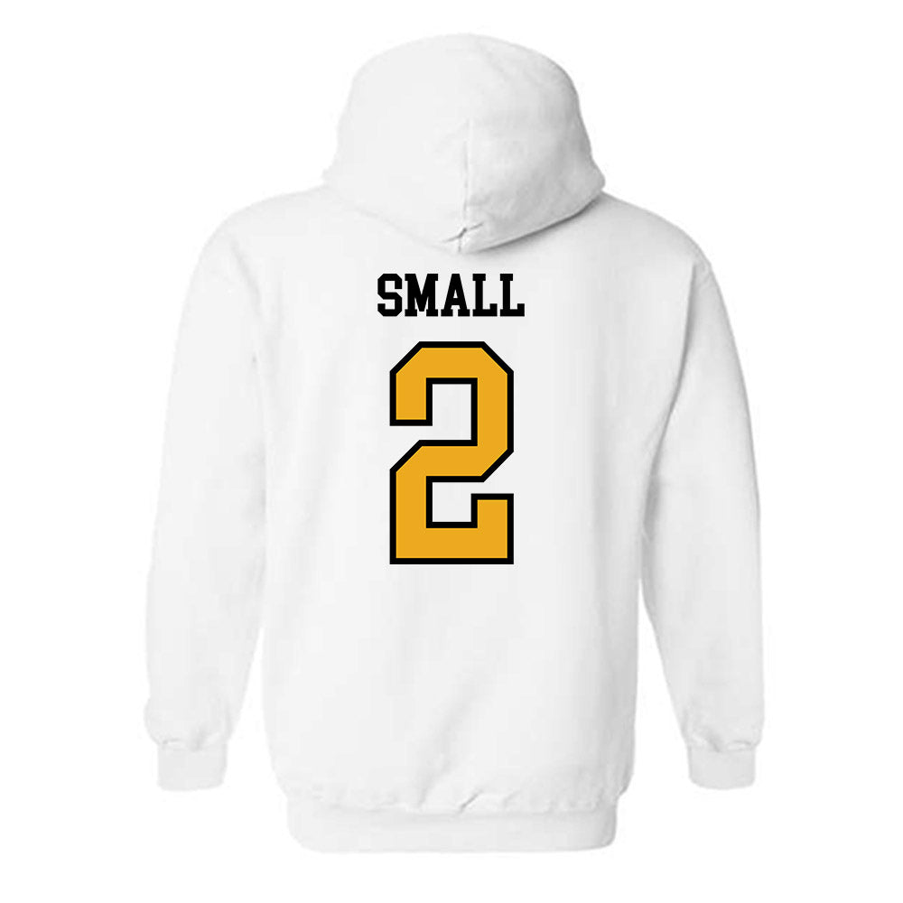 UAPB - NCAA Baseball : Dane Small - Classic Shersey Hooded Sweatshirt-1
