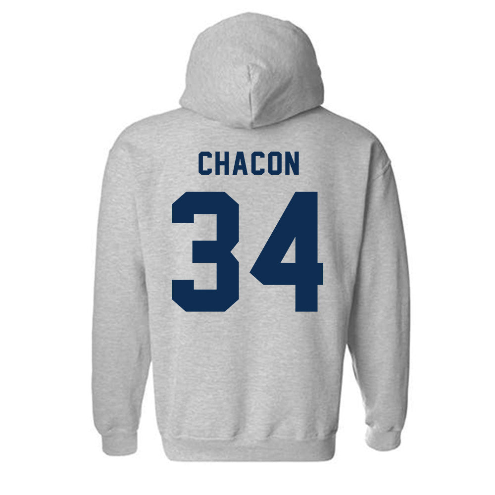 MSU Denver - NCAA Baseball : Andre Chacon - Classic Shersey Hooded Sweatshirt-1