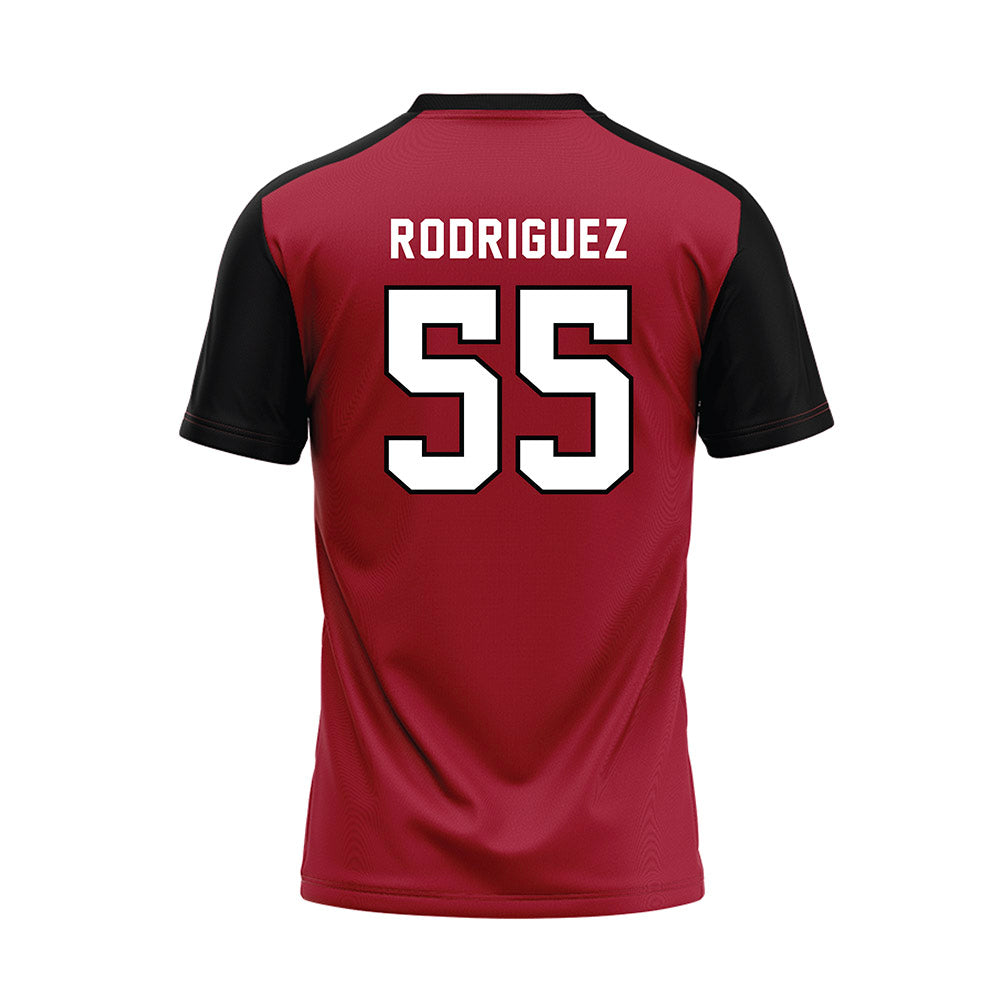 Lenoir Rhyne - NCAA Baseball : Brynden Rodriguez - Replica Baseball Jersey-1
