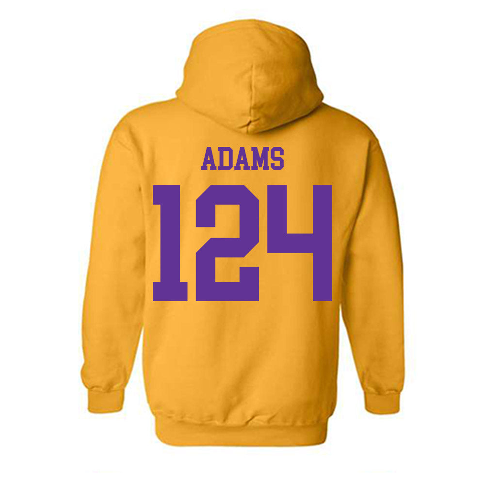 UWSP - NCAA Wrestling : Amelia Adams - Hooded Sweatshirt-1