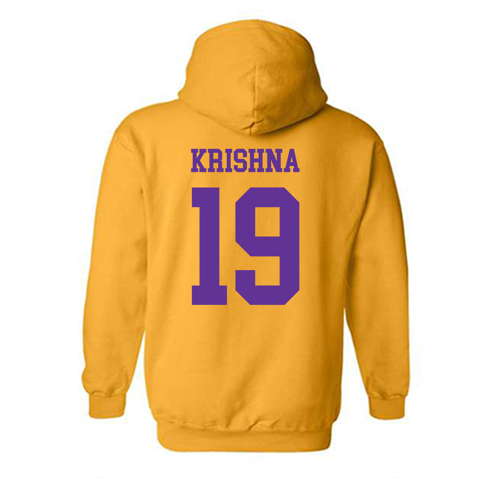 UWSP - NCAA Men's Soccer : Arun Krishna - Hooded Sweatshirt-1