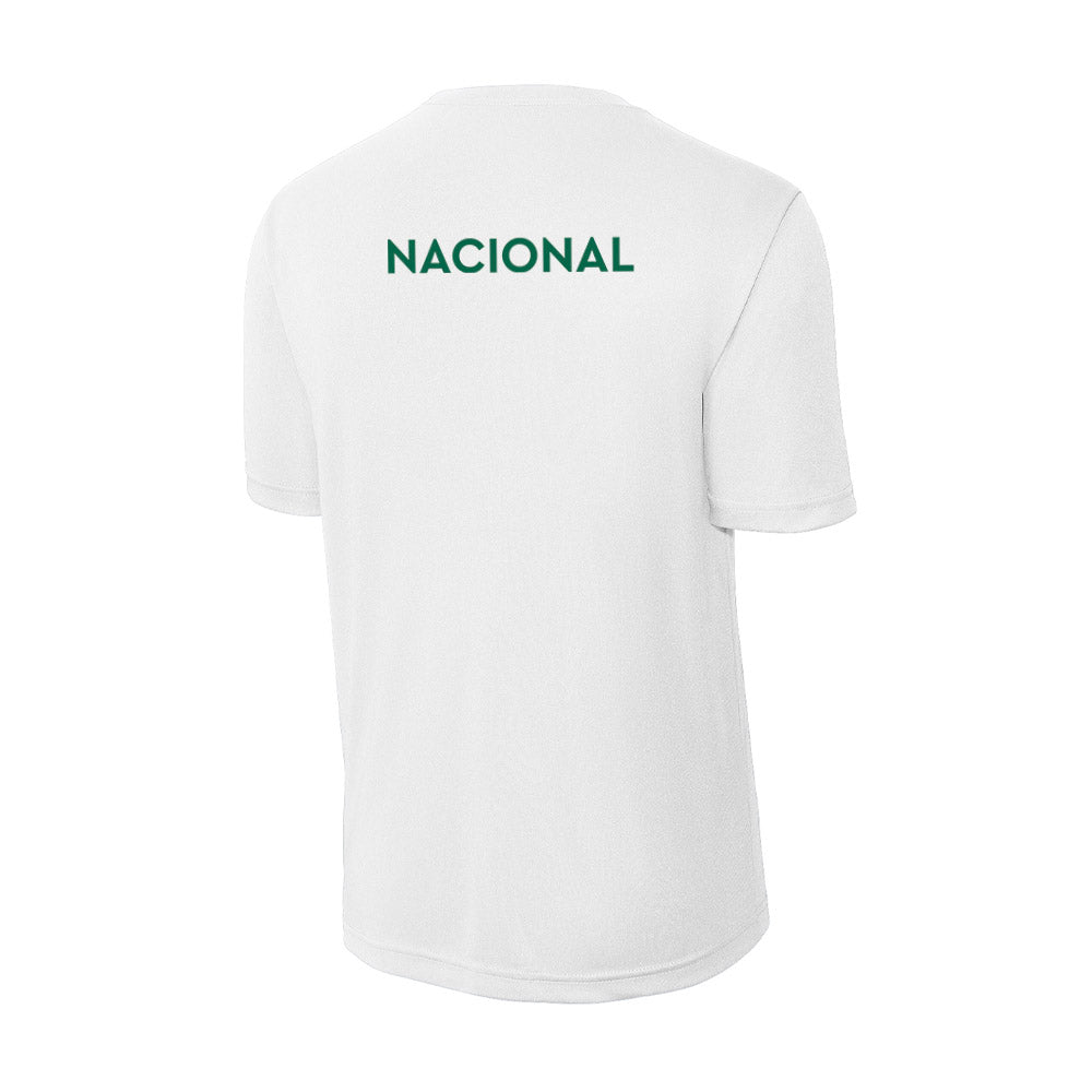Illinois Wesleyan - NCAA Men's Swimming & Diving : Jacob Nacional - Activewear T-Shirt-1
