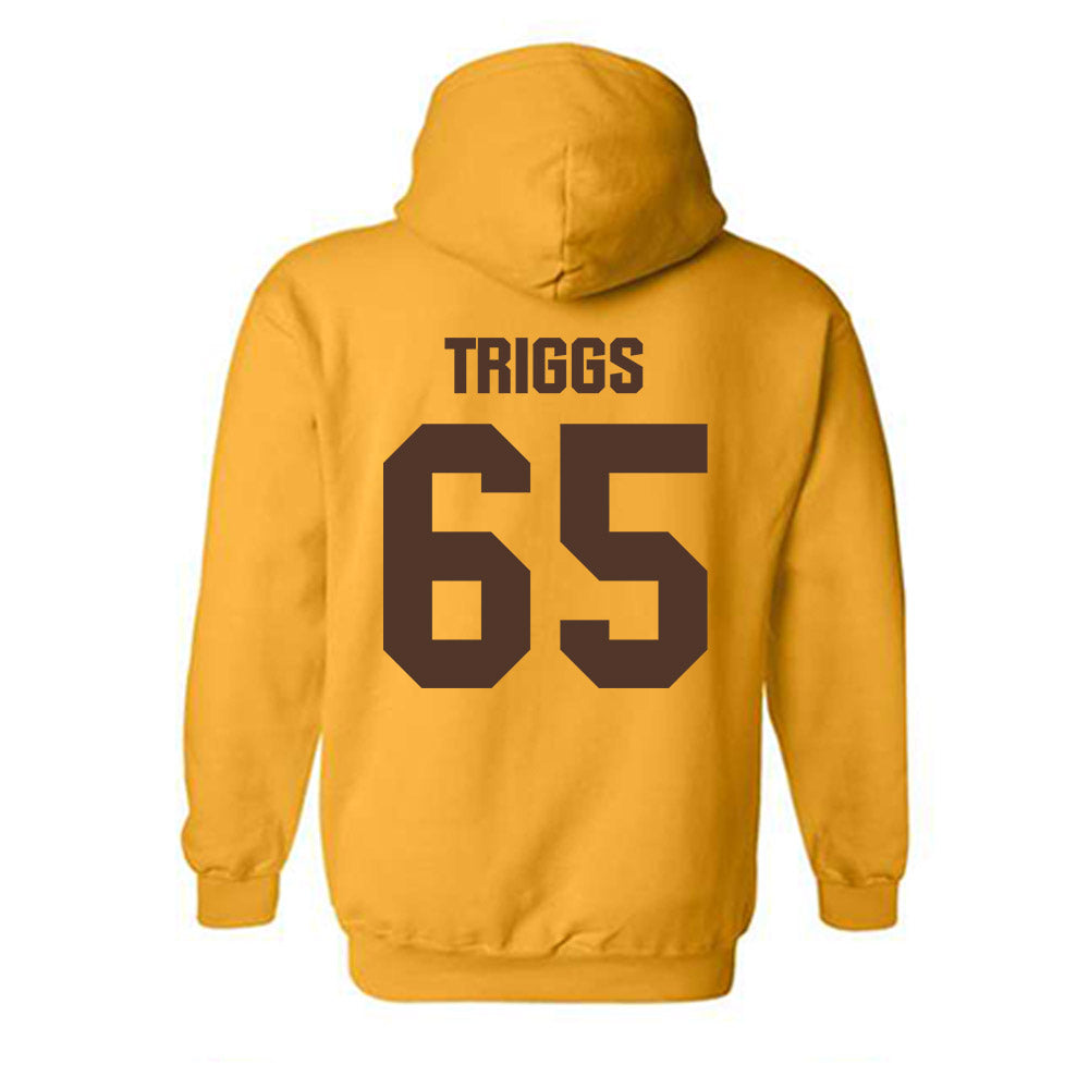 Valpo - NCAA Football : Evan Triggs - Classic Shersey Hooded Sweatshirt-1
