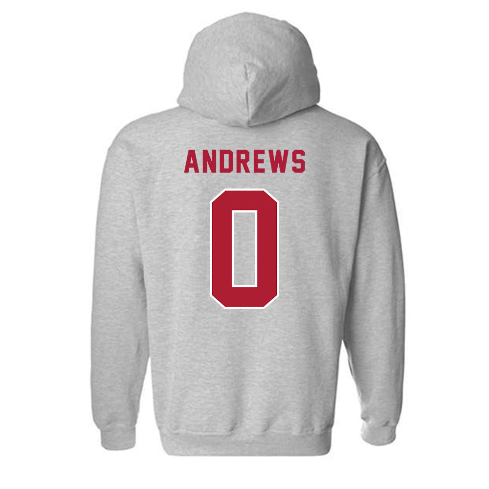 LMU - NCAA Women's Soccer : Elena Andrews - Classic Shersey Hooded Sweatshirt-1