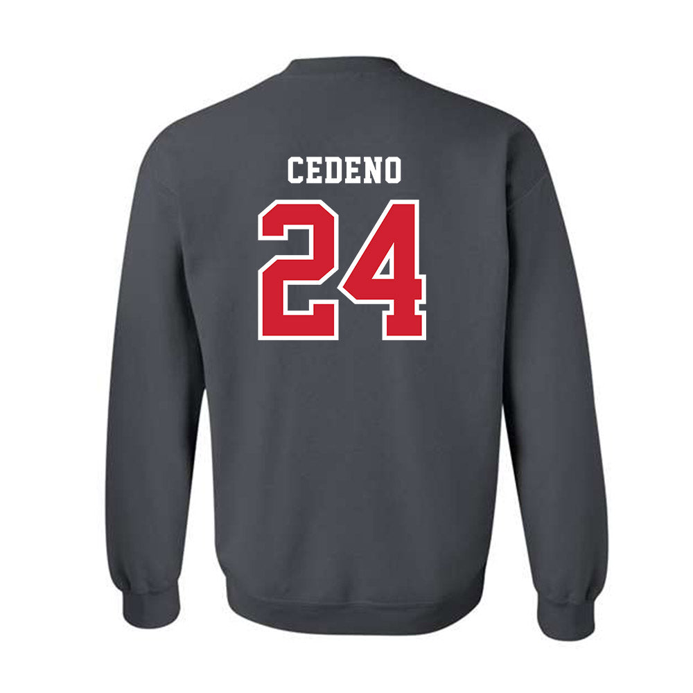 Marist - NCAA Baseball : Luis Cedeno - Crewneck Sweatshirt-1