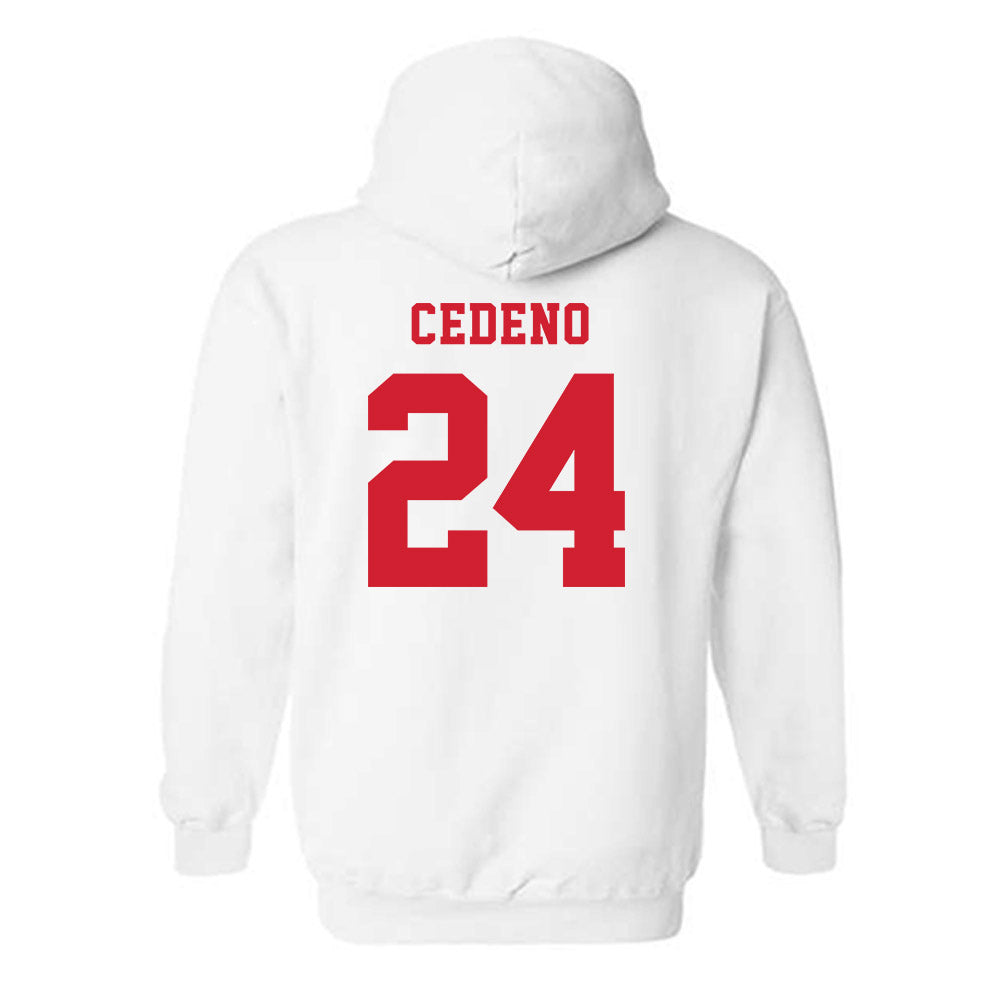 Marist - NCAA Baseball : Luis Cedeno - Classic Shersey Hooded Sweatshirt-1
