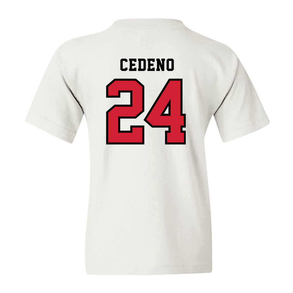 Marist - NCAA Baseball : Luis Cedeno - Classic Shersey Youth T-Shirt-1