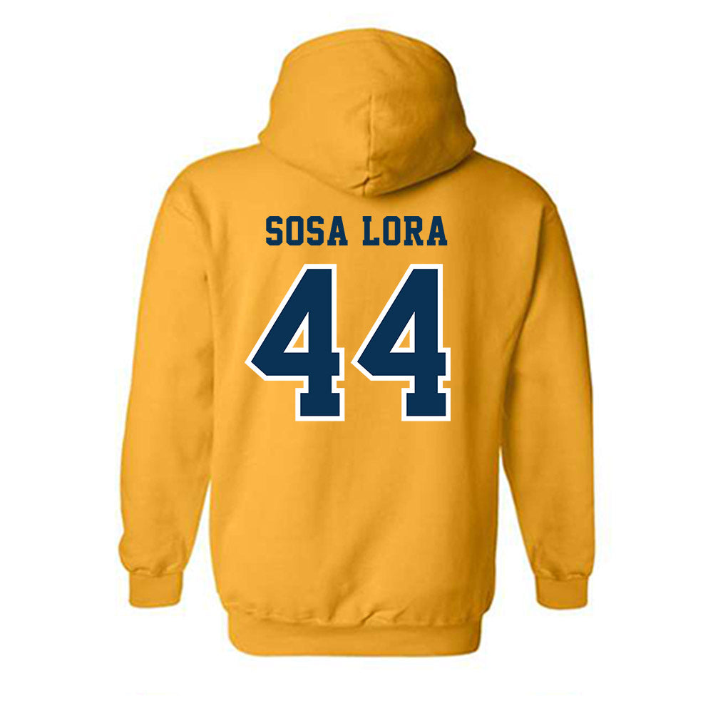 Coppin State - NCAA Women's Basketball : Patricia Sosa Lora - Classic Shersey Hooded Sweatshirt-1
