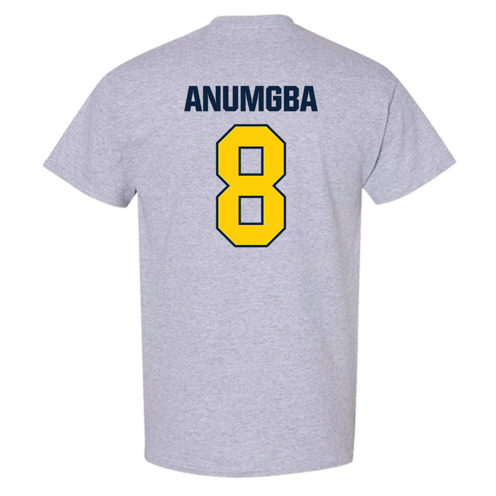 Toledo - NCAA Women's Basketball : Patricia Anumgba - T-Shirt-1