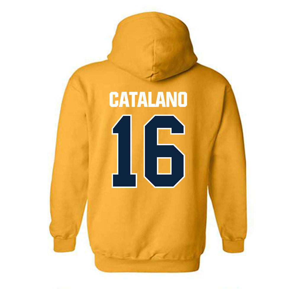 Toledo - NCAA Women's Volleyball : Sophie Catalano - Hooded Sweatshirt-1