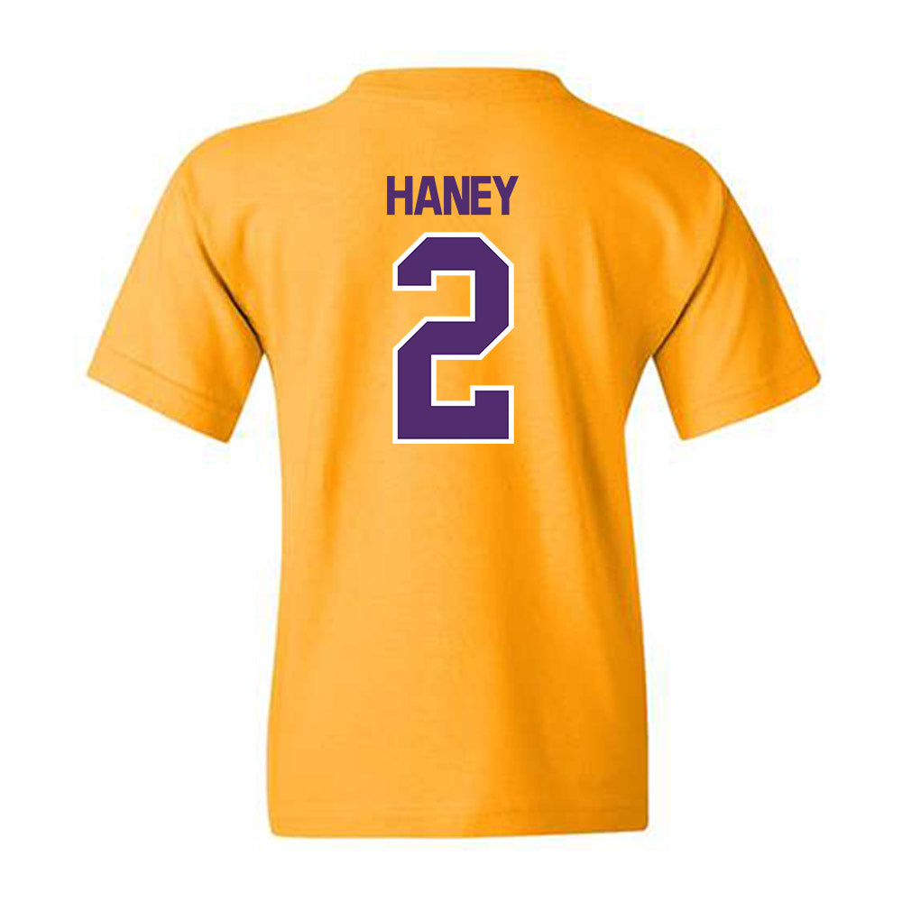 Alcorn - NCAA Football : Tayvion Haney - Classic Shersey Youth T-Shirt-1