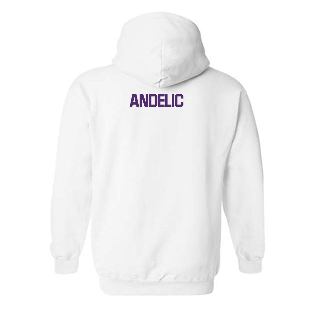 Alcorn - NCAA Women's Tennis : Matea Andelic - Classic Shersey Hooded Sweatshirt-1