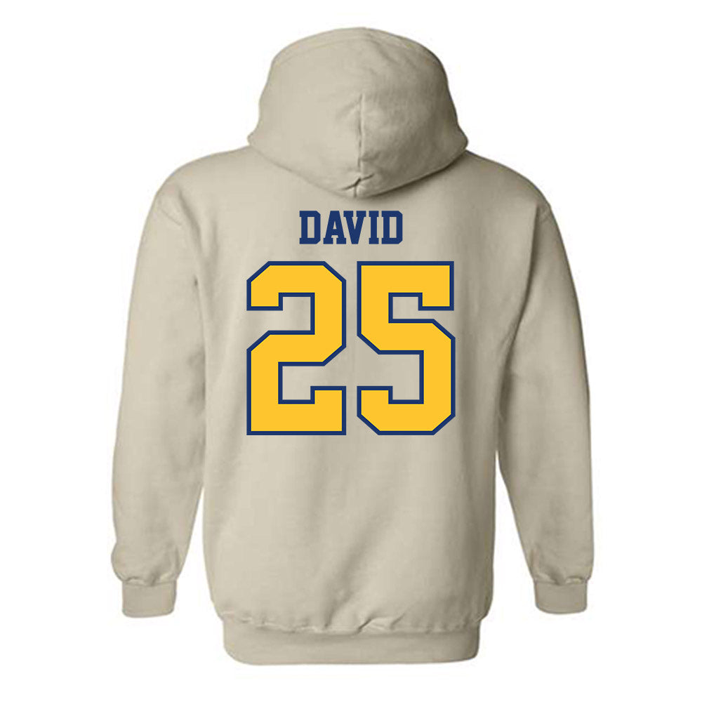 North Carolina A&T - NCAA Football : Mack David - Hooded Sweatshirt-1