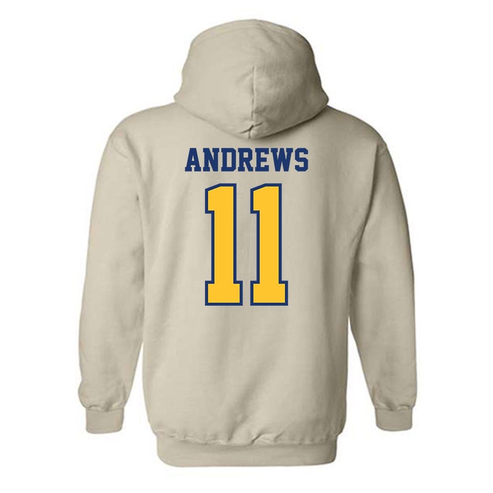 North Carolina A&T - NCAA Women's Basketball : Eva Andrews - Hooded Sweatshirt-1