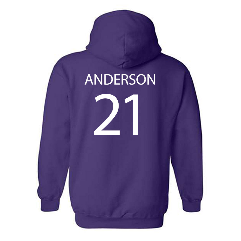 Sioux Falls - NCAA Baseball : Logan Anderson - Classic Shersey Hooded Sweatshirt-1