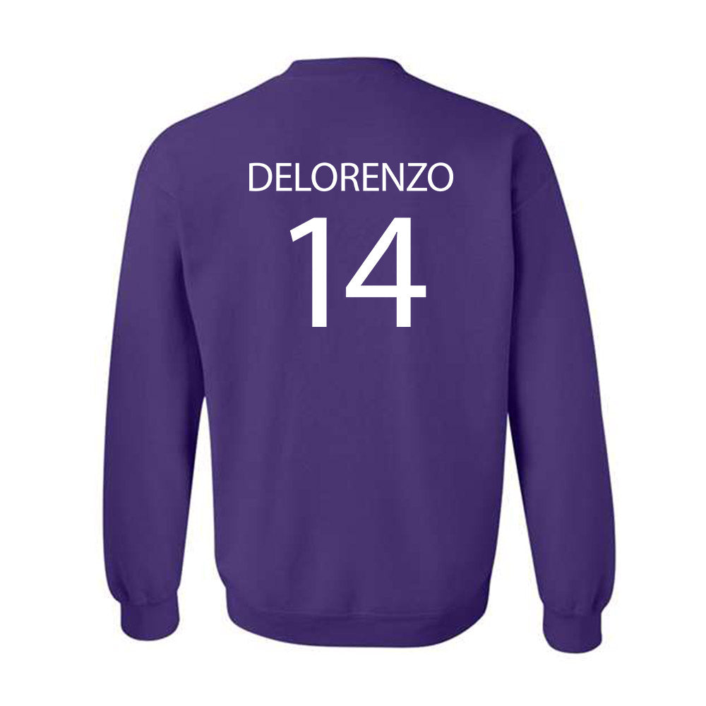 Sioux Falls - NCAA Softball : Brianna Delorenzo - Classic Shersey Crewneck Sweatshirt-1