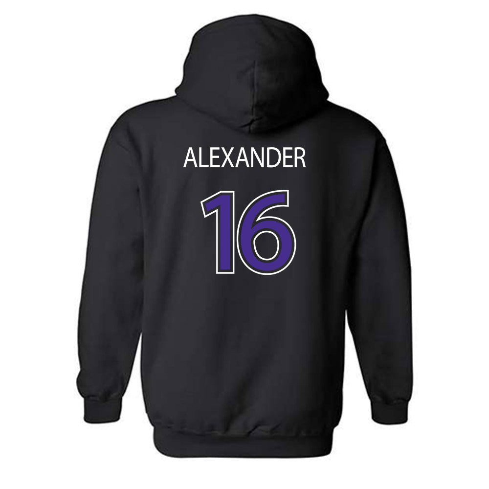 Sioux Falls - NCAA Softball : Alexis Alexander - Classic Shersey Hooded Sweatshirt-1