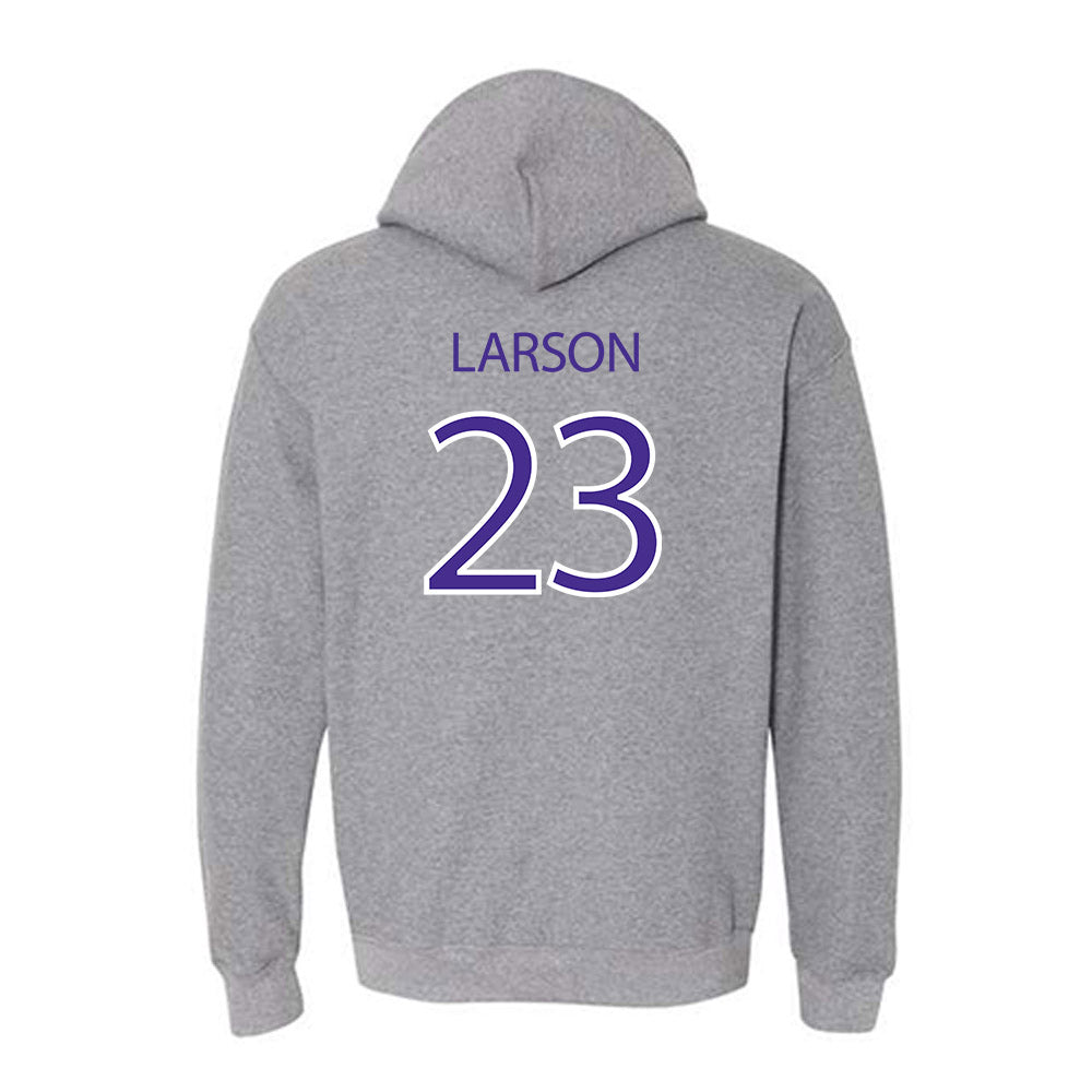 Sioux Falls - NCAA Baseball : Eli Larson - Classic Shersey Hooded Sweatshirt-1