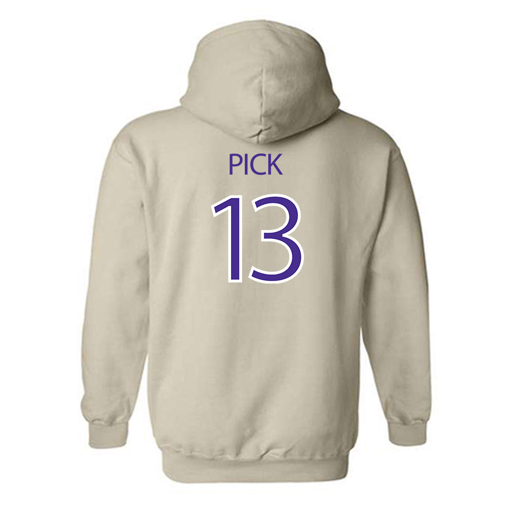 Sioux Falls - NCAA Baseball : Ashton Pick - Classic Shersey Hooded Sweatshirt-1