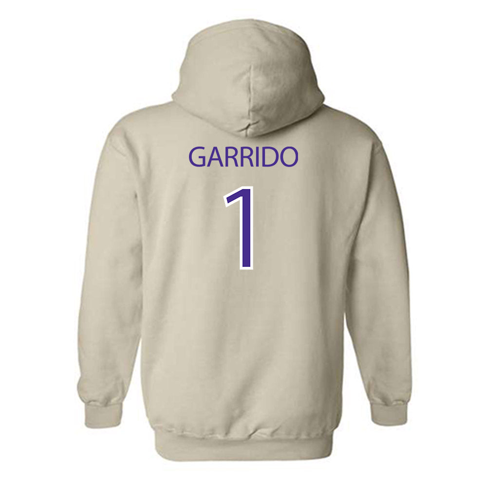 Sioux Falls - NCAA Softball : Tori Garrido - Classic Shersey Hooded Sweatshirt-1