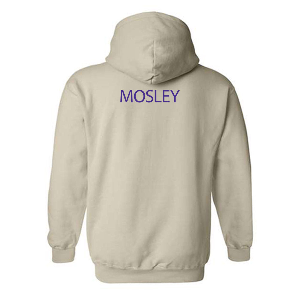 Sioux Falls - NCAA Women's Swimming & Diving : Phoebe Mosley - Classic Shersey Hooded Sweatshirt-1