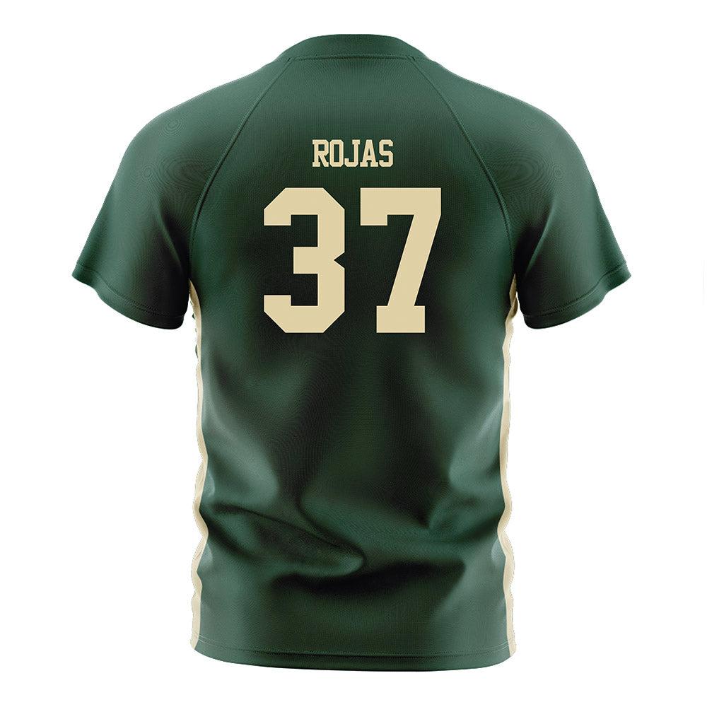 Tiffin - NCAA Men's Soccer : Alejandro Rojas - Soccer Jersey-1