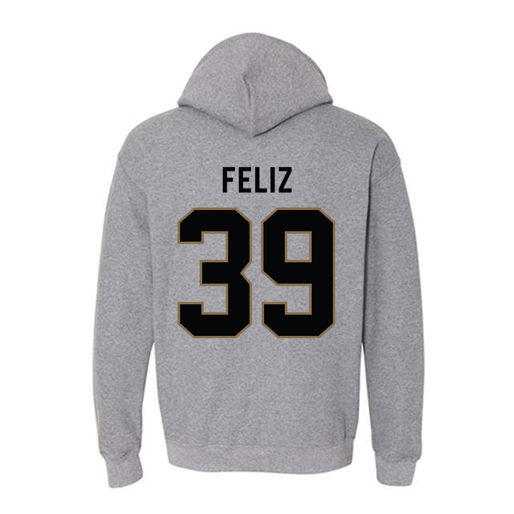 - NCAA Baseball : Raul Feliz - Classic Shersey Hooded Sweatshirt-1