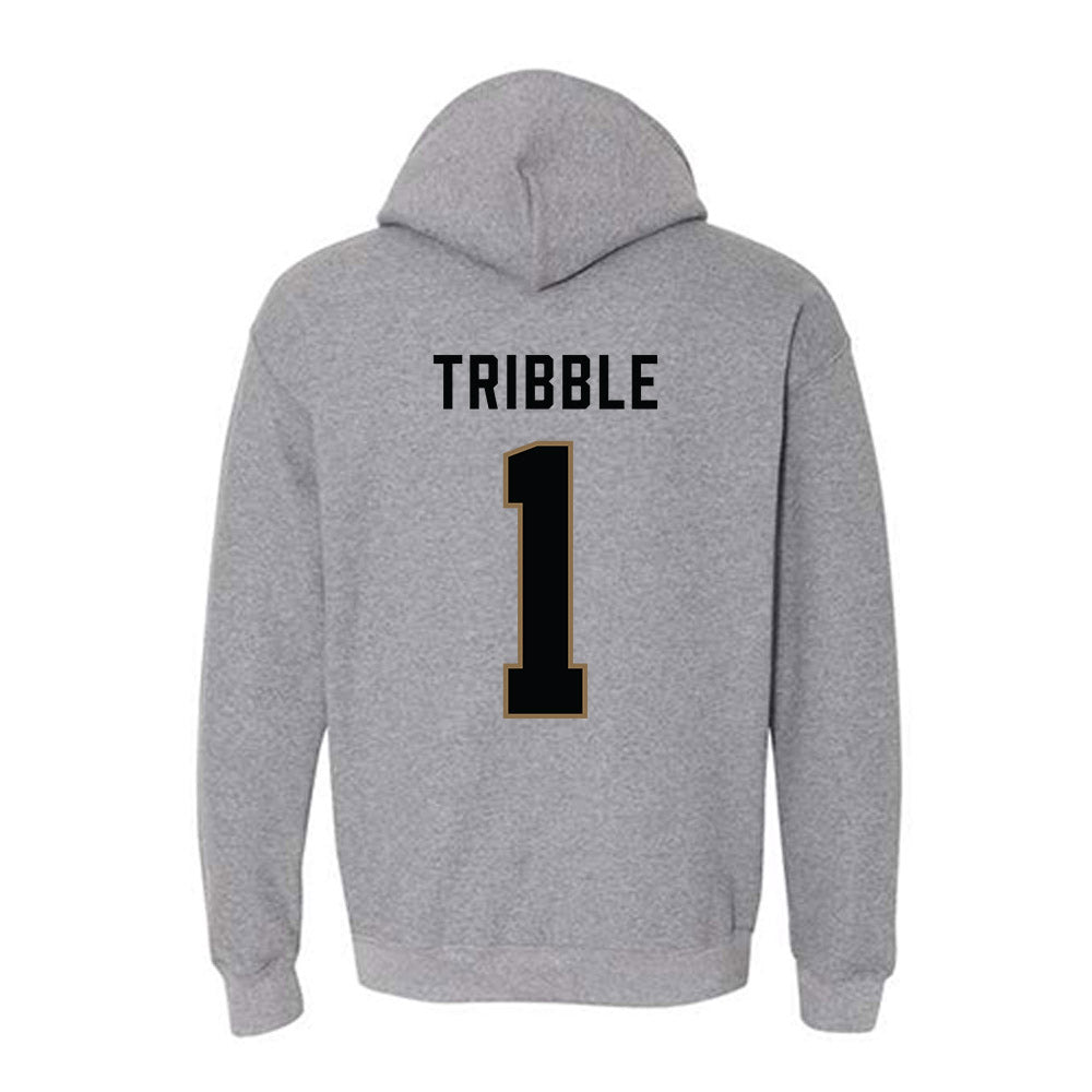 Wofford - NCAA Baseball : Logan Tribble - Classic Shersey Hooded Sweatshirt-1